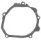 Ignition cover gasket WINDEROSA