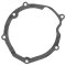 Ignition cover gasket WINDEROSA