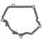 Ignition cover gasket WINDEROSA