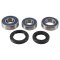 Wheel bearing and seal kit All Balls Racing