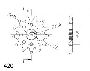 Front sprocket SUPERSPROX 13T, 420