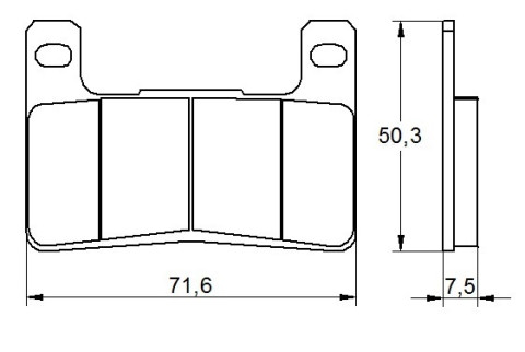 Brake pads ACCOSSATO AGPA109 EV1