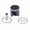 Cast-lite piston kit ATHENA d 71,93mm